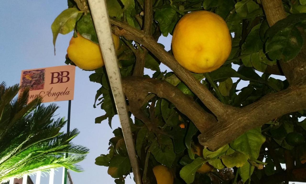 B&B Nonnangela Maratea Zewnętrze zdjęcie